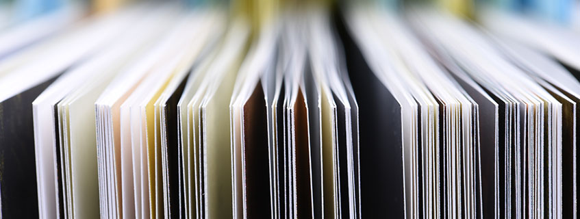 Factsheets lesen und verstehen
